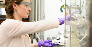 student working with vials in a lab